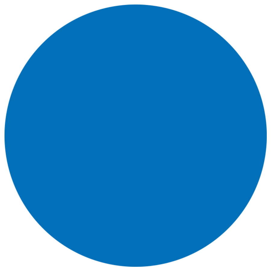 Couleur principale CHRIS BLEU Couleur Locavor 3