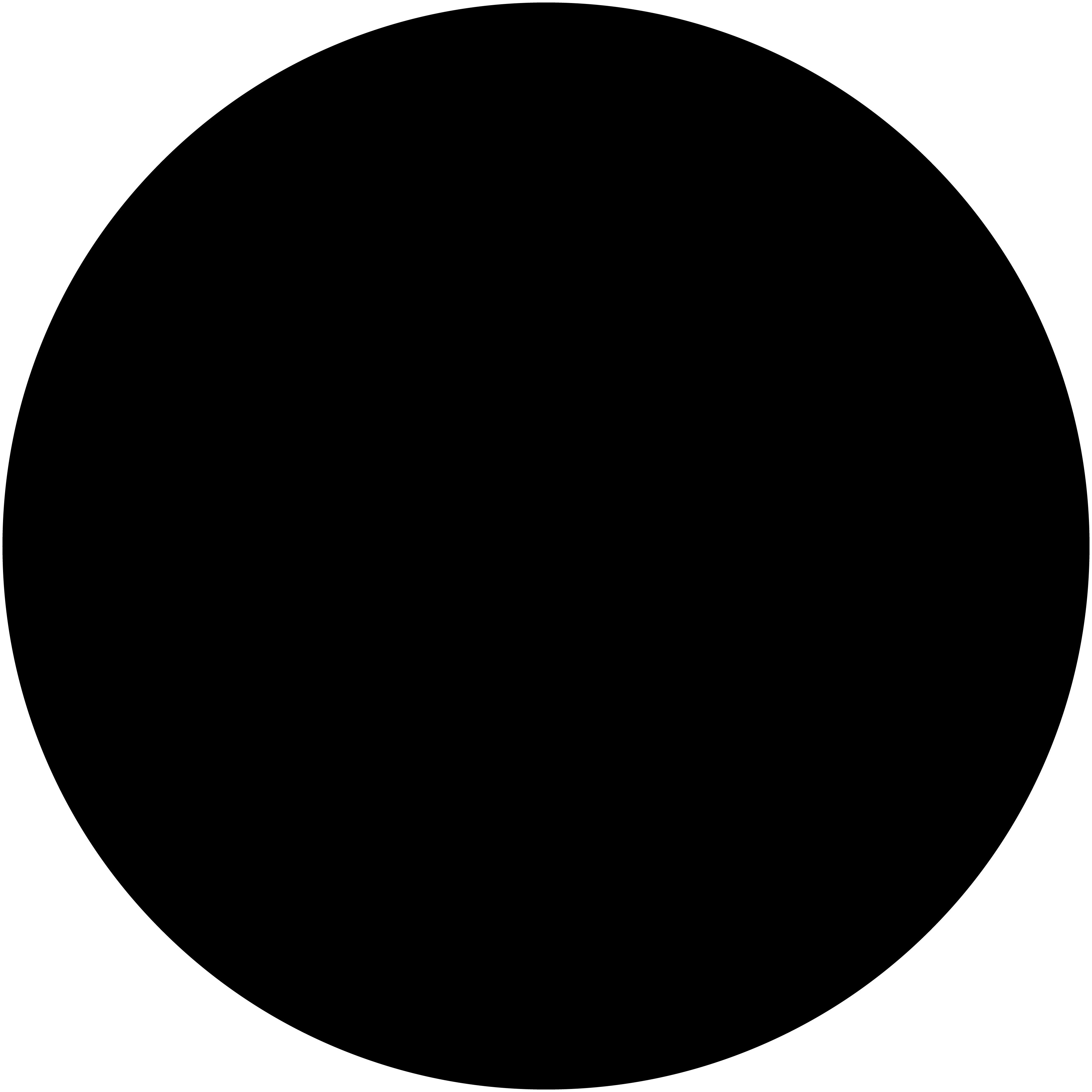 Rond noir avec contour@4x Couleur noire