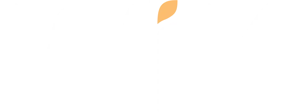 cms e-commerce wix