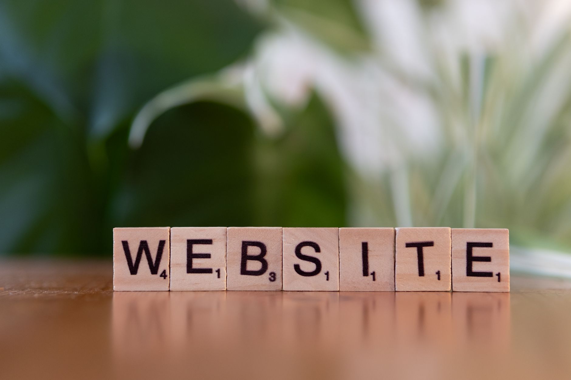 refonte site internet
